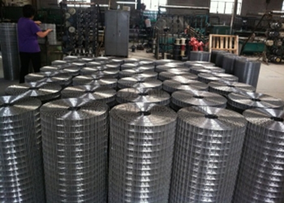 1``X1`` Welded wire mesh  steel welded wire mesh  stainless steel welded wire mesh
