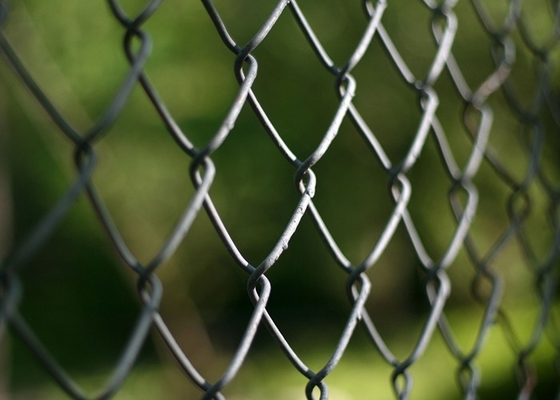 25-100mm Chain Link Wire Mesh / 25m Diamond Chain Link Fence For Garden