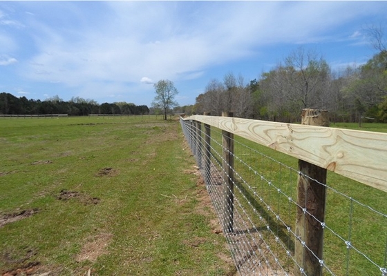 Protection Electro Galvanized Steel Cattle Fence , Deer / Grassland Wire Fence