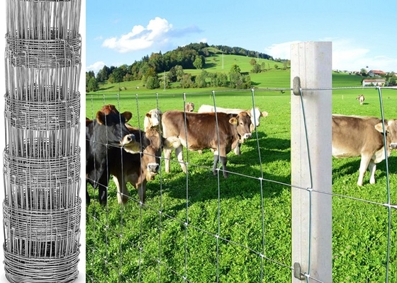 Protection Electro Galvanized Steel Cattle Fence , Deer / Grassland Wire Fence