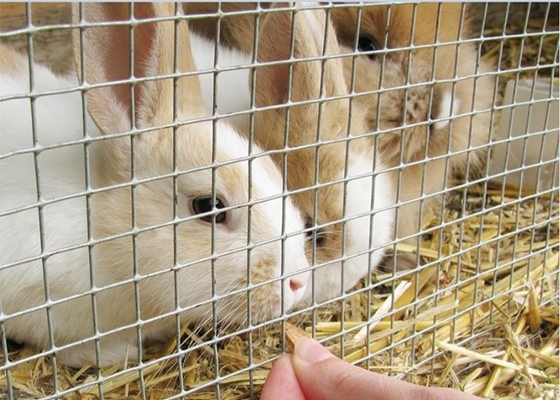 0.5mm-5mm Galvanized Steel Wire Mesh , 1.5m Square Chicken Wire Mesh